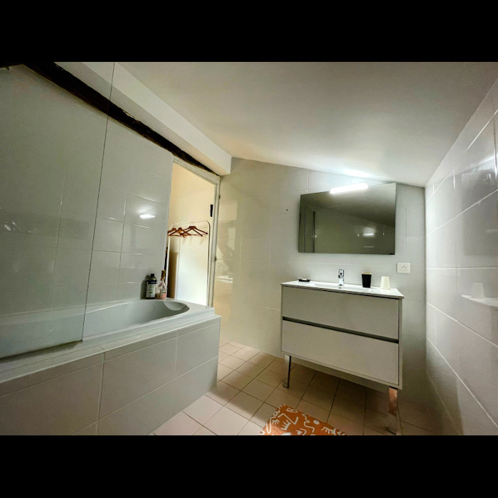 Mirabelles_bathroom1